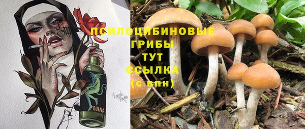 a pvp Горняк