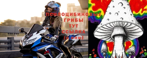 MDMA Premium VHQ Горнозаводск