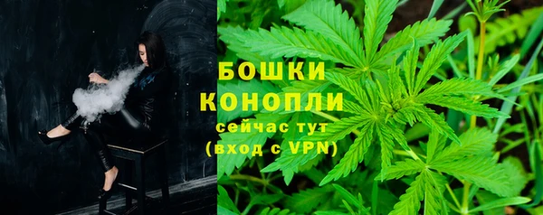 a pvp Горняк